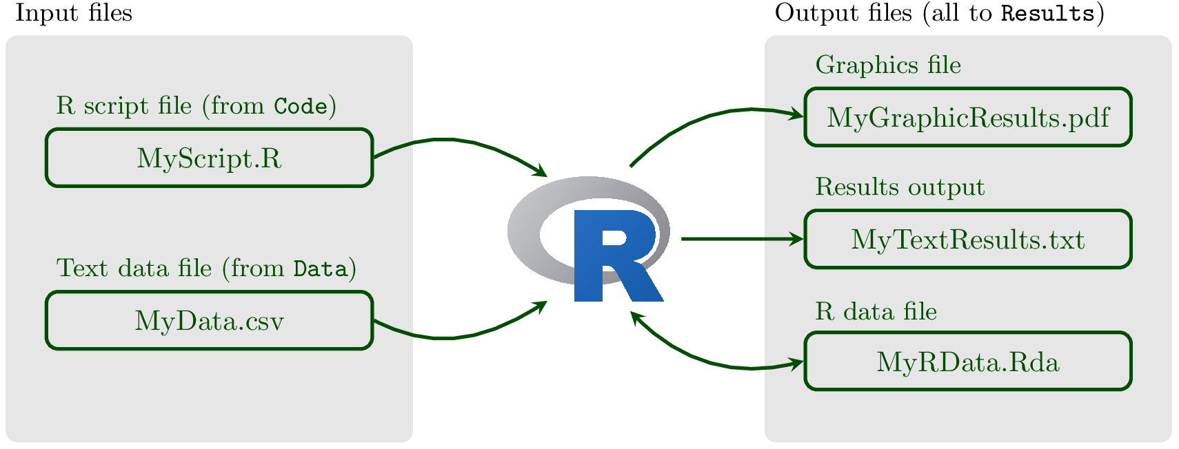 R Project Organization