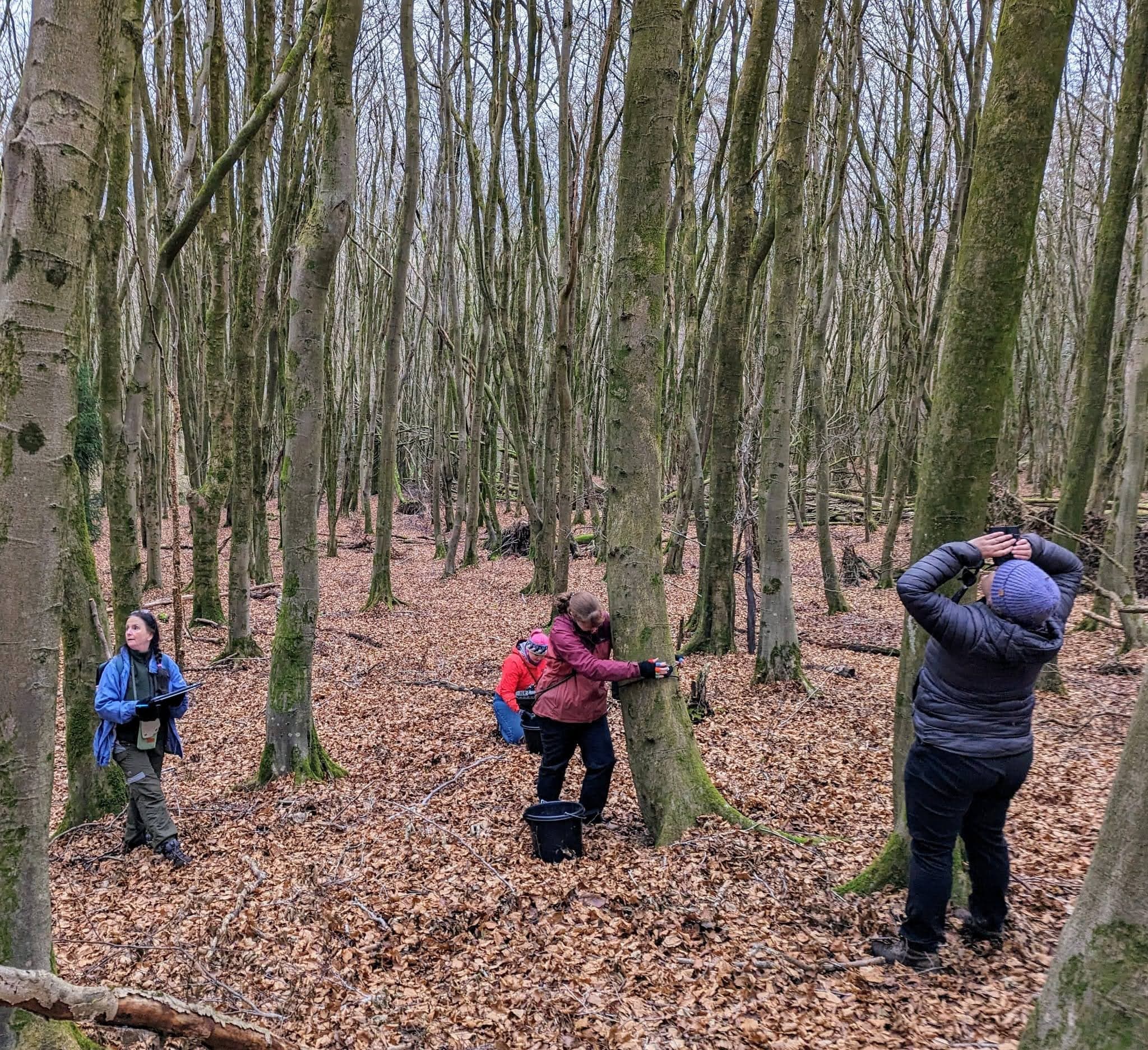 Researcher setting up a camera trap in woodland