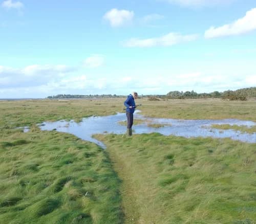 Researcher standing in a flooded grassland survey site